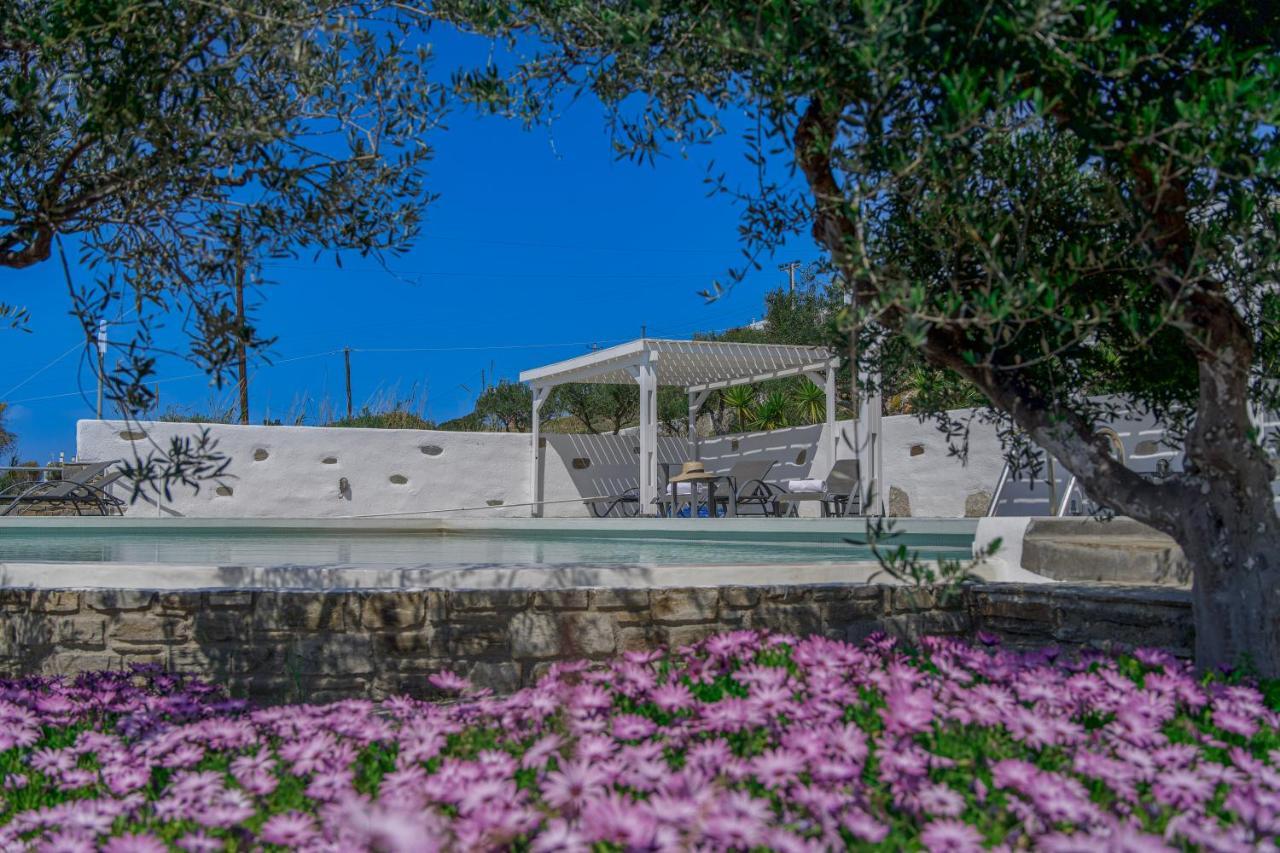 Anthemion Paros - Villas & Suites Agia Irini  Exterior photo